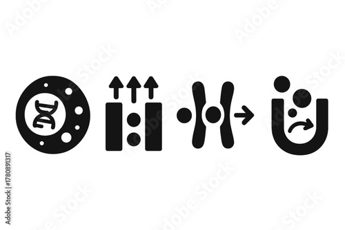 Cell Nutrient Icons. Solid style icons of nutrient transport and cells: cell membrane with DNA, active transport arrows, carrier