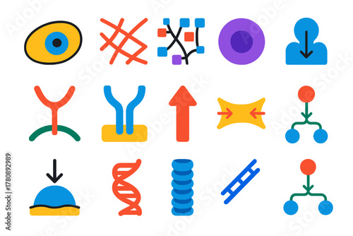Mechanobiology Icon Set. Flat vector icons of mechanobiology concepts: cell, cytoskeleton, extracellular matrix, nucleus, adhesion