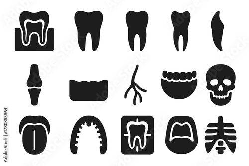 Dental Anatomy Icons. Solid style icons of Dental Anatomy: Tooth Cross-Section, Molar, Incisor, Canine, Root, Gum, Nerve, Jawbone,
