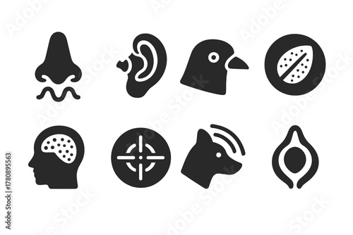 Magnetosensory Organ Icons. Line style icons of inspirational moments: sunrise over mountains, first border crossed, help from