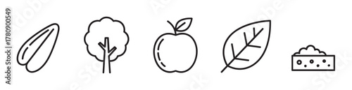 Black outline vector icons of a seed, tree, apple, leaf, and cheese. minimal linear illustration for natural, food, and botanical concepts.