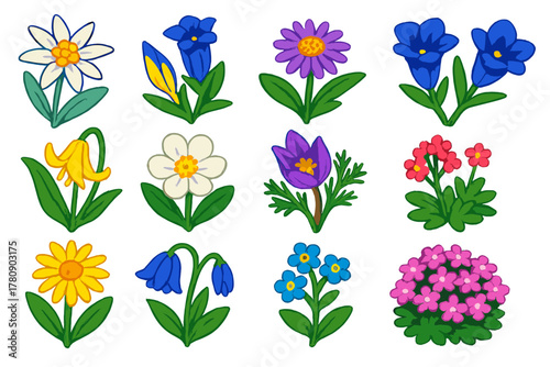 Vibrant Alpine Blossoms. Isometric vector illustration set Various Flowers: alpine edelweiss, gentian, alpine aster, snow gentian,