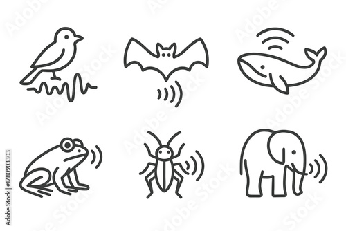 Animal Sound Icons. Line style icons of animal sound sources: bird call wave, bat echolocation, whale song symbol, frog croak,