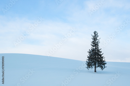 雪で覆われた美瑛の丘 北海道美瑛町 日本