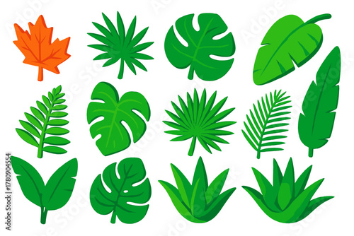 Tropical Leaf Vector Icons. Isometric vector illustration set Tropical and Decorative Leaves: maple leaf, palm leaf, monstera leaf