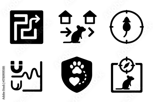 Magnetoreception Tests Icons. Solid style icons of behavioral tests in magnetoreception: maze with direction icon, animal choice