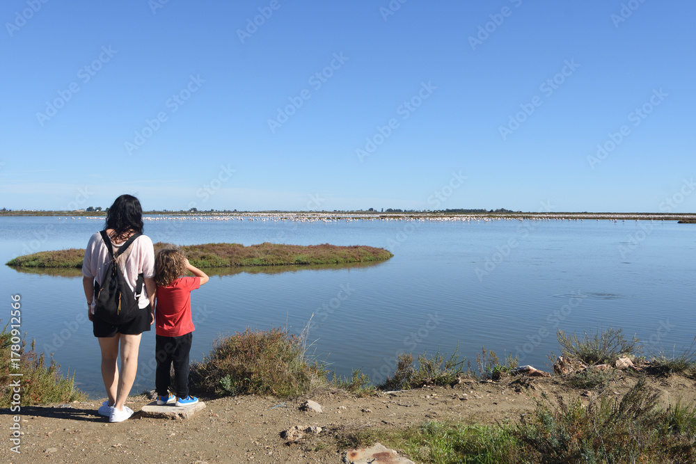 Fototapeta premium People watching flamingos in the La Tancada lagoon in the Ebro River Delta Natural Park,Tarragona province, Catalonia, Spain