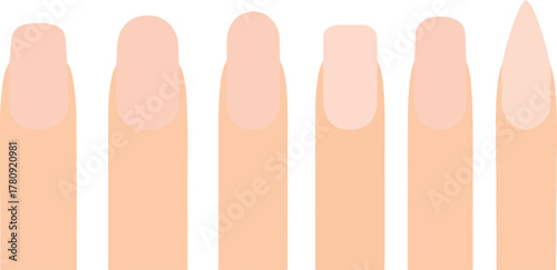 Popular Manicure Nail Shapes Set — Natural, Squoval, Oval, Square, Almond, Stiletto Flat Vector Illustration Isolated on White Background.