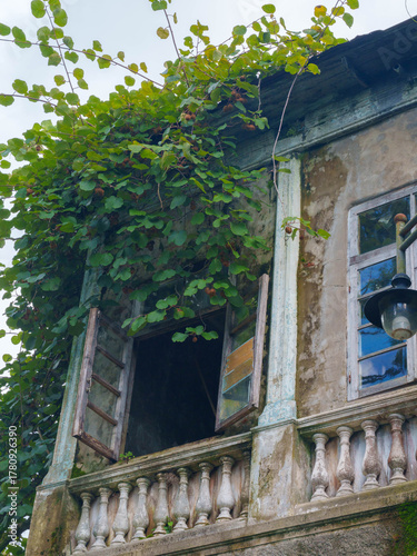 Decay and Nature: Vines Overtaking Old Architecture