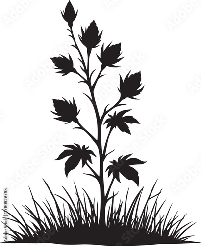 Black silhouette of a flowering plant with leaves and grass