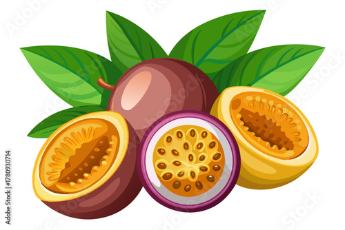 Vector illustration of single whole ripe passion fruit and three half-cut showing yellow seeds, isolated on white background