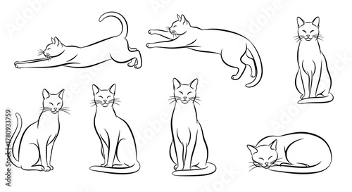 Elegant cat poses showcase feline grace, perfect for pet-themed designs, veterinary clinics, or animal lovers' merchandise with a modern, minimalist aesthetic