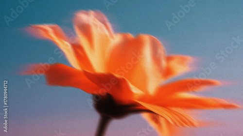 Modern abstract flower blur grainy background for branding