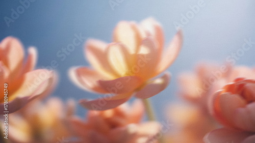 Creative soft floral blur texture for layout and design