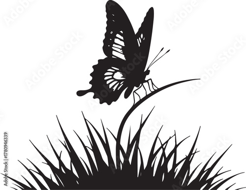 Black silhouette butterfly on grass blade insect black and white