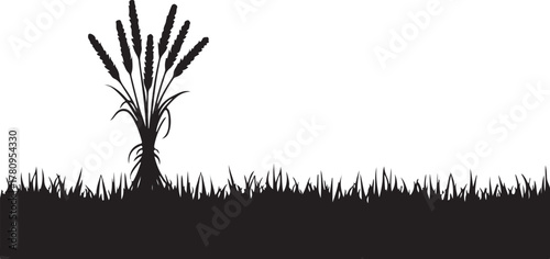 Black silhouette of wheat stalks and grass on white