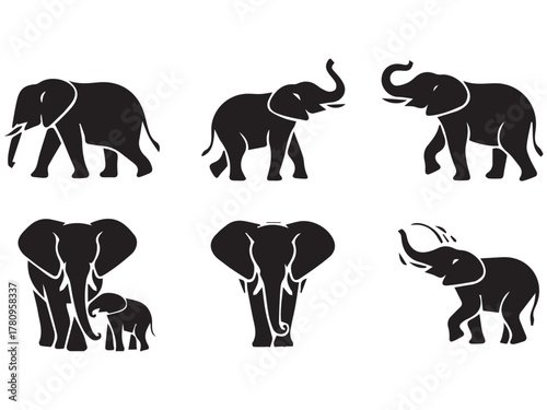 Beautiful Elephant Graphics and Icons