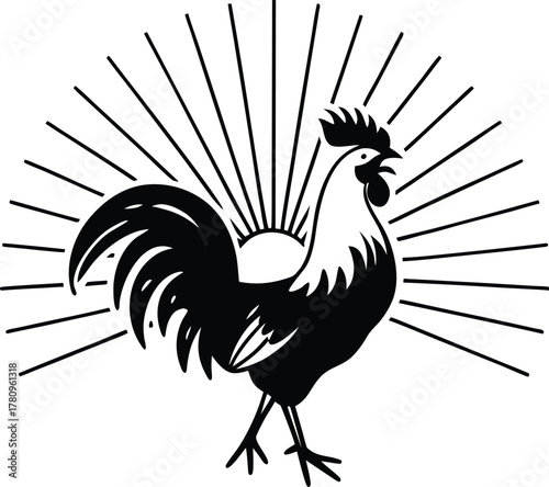 Empty dark black background for copy space, overlay, and creative design