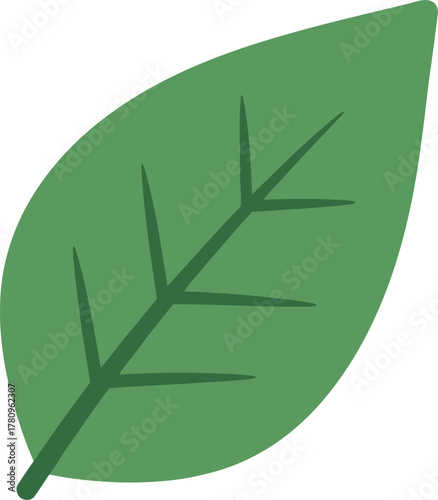 Green leaf icon nature eco freshness organic