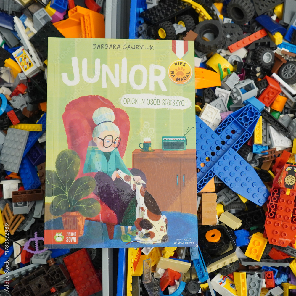 Obraz premium Book cover of Junior, a Polish children's book about a dog and elderly care