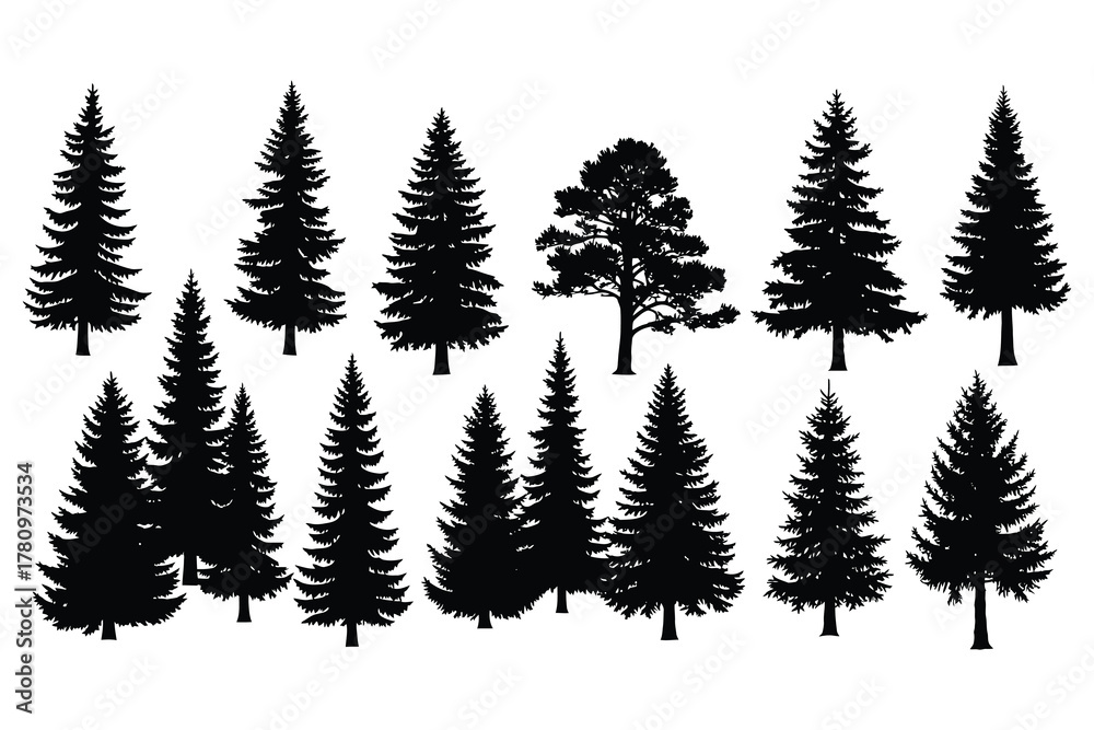 Obraz premium Collection of black pine and fir tree silhouettes on white background pine tree silhouette evergreen tree