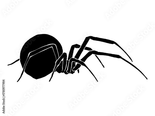 Vector silhouette of a black and white spider illustration on a white background.