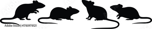 Mouse silhouette, rodent posture, black graphic, vector illustration, animal figure, tail gesture, wildlife icon, side profile, small mammal, motionMouse silhouette, rodent posture