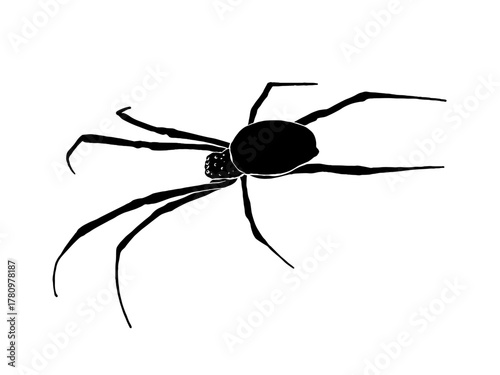 Vector silhouette of a black and white spider illustration on a white background.