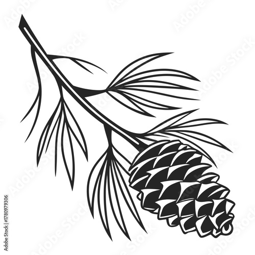 Black and white pine cone and needles on a branch vector illustration
