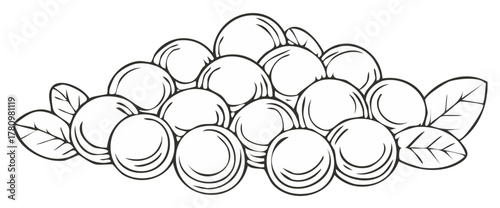 Black and white line art illustration of a cluster of forest berries with leaves for coloring