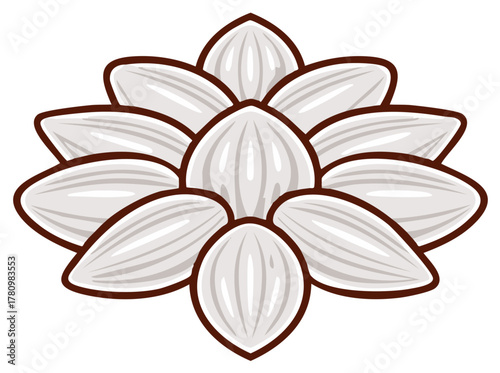 Stylized Blooming Flower Shape Formed From White Shelled Sunflower Seeds