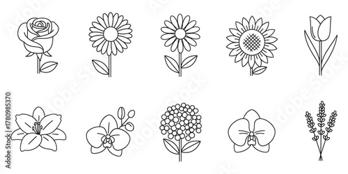 Assorted flower line art icons on white background