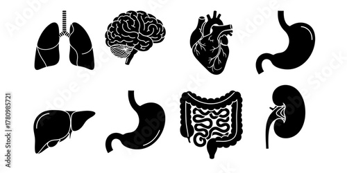 Collection of human internal organ silhouettes including brain lungs heart stomach liver kidneys and intestines