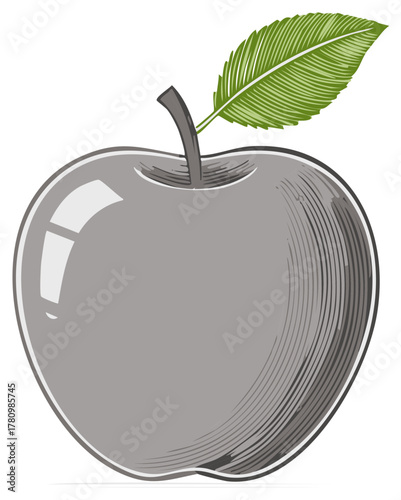 Stylized gray apple with green leaf and stem and engraved texture