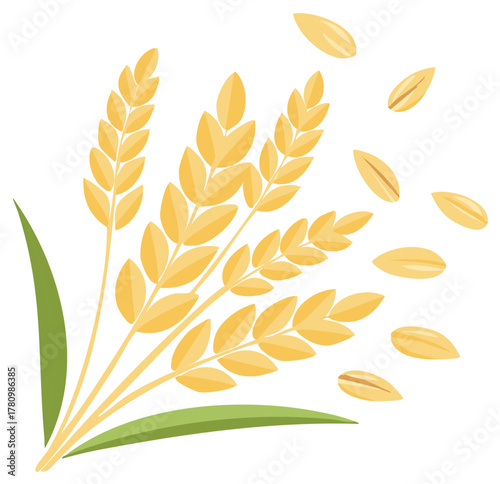 Wheat sheaf with grains falling, vector illustration. Gluten free concept with organic crop. Agriculture