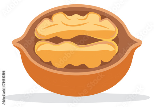 Illustration of a walnut open with the nut meat inside