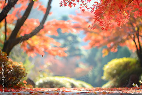 日本の秋の紅葉風景 朝日に照らされた鮮やかなカエデの葉
Japanese Autumn Maple Foliage Landscape with Morning Sunlight in Zen Garden