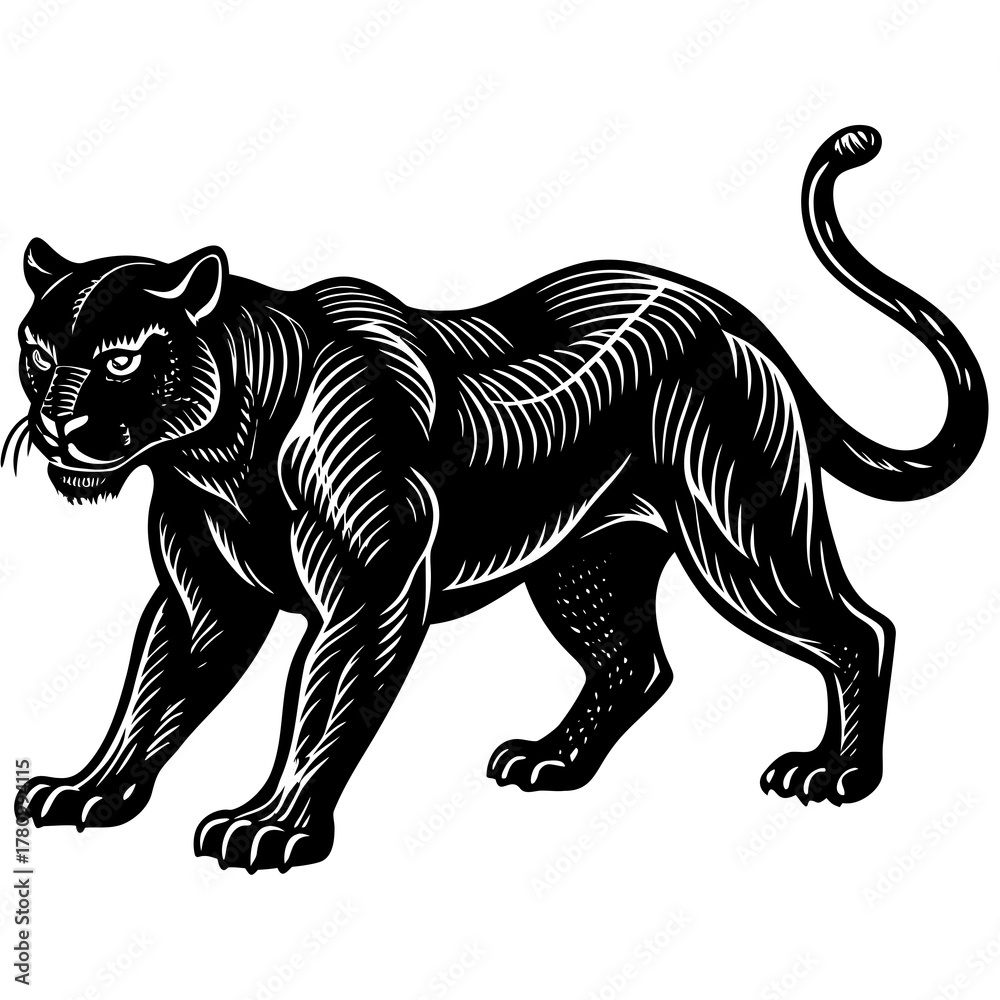 Obraz premium zebra vector silhouette
