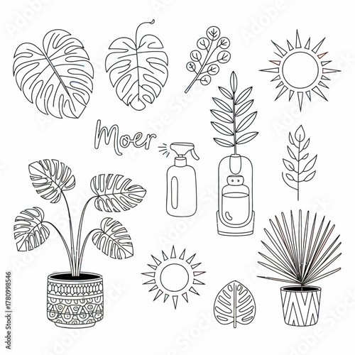 Boho Style Indoor Plants and Home Decor Line Art Illustration on White Background with Moer Lettering