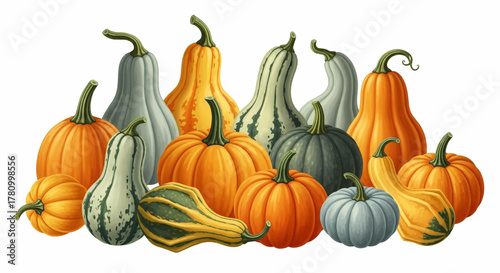 A vibrant autumn harvest collection of various pumpkins and gourds, detailed vector illustration