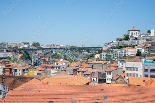 Port Warehouse Roofs and Dom Luis Bridge