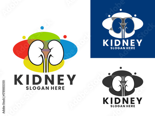 Kidney logo design vector template. Colorful kidney logo design icon
