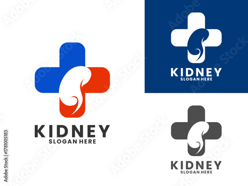Kidney medical logo design vector template. Kidney health logo design icon