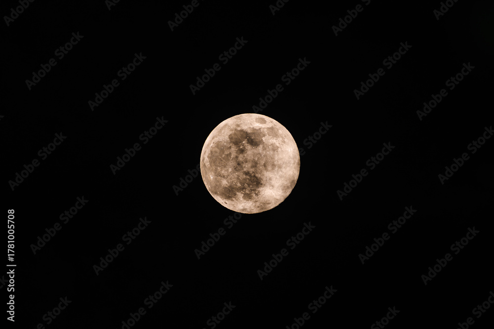 Fototapeta premium The November full moon, known as the Beaver Moon, is the largest and brightest supermoon of the year, seen rising through the clouds and tree branches of a forest in Tehatta, West Bengal, India