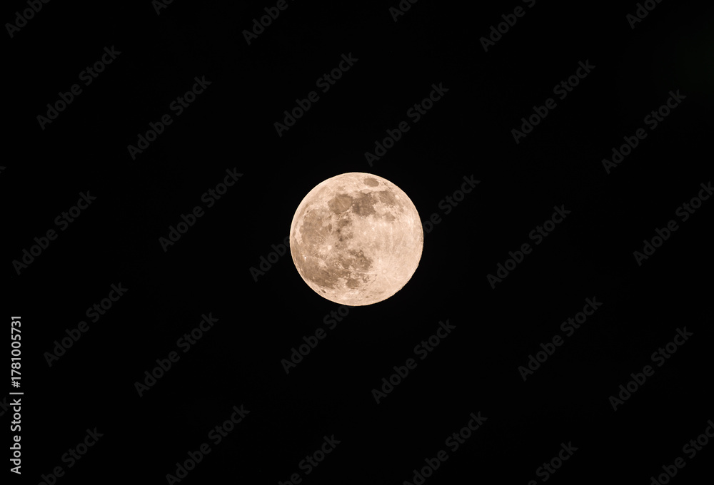 Fototapeta premium The November full moon, known as the Beaver Moon, is the largest and brightest supermoon of the year, seen rising through the clouds and tree branches of a forest in Tehatta, West Bengal, India