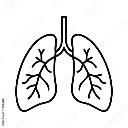 Simple line drawing of human lungs and bronchial tree