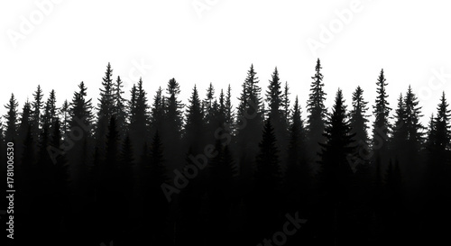 Fototapeta Naklejka Na Ścianę i Meble -  Silhouette of a dense evergreen forest isolated on transparent background