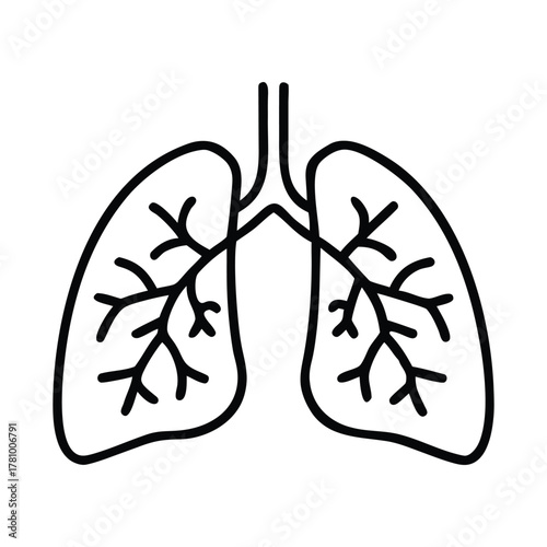 Simple line drawing of human lungs and bronchial tree