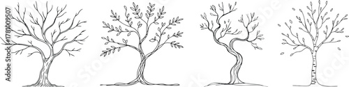 Four hand drawn trees isolated on white background in black and white style. Line art.