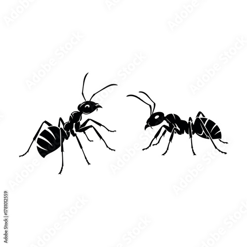 Ant silhouette illustration